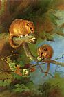 Dormice